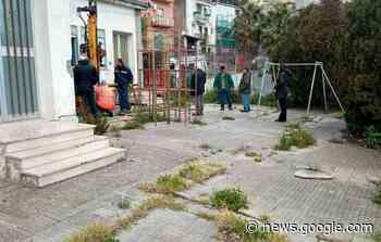 Pioppo, saggi strutturali alla scuola materna di via Polizzi - Monreale News