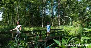 Natuurpunt voert zaterdag beheerwerken uit op Lovenhoek: hulp is ... - Het Laatste Nieuws