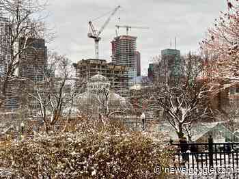 Overlooking Allan Gardens - Urban Toronto