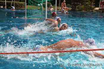 ▷ Gemminger Wasserballer planen für Saisonstart in der ... - Eppingen.org