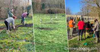 Bewoners opvangcentrum en Natuurpunt planten samen ... - Het Laatste Nieuws