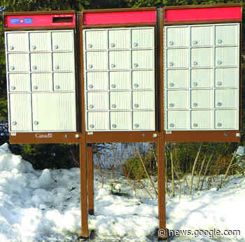 Mailboxes vandalized in Antigonish County - Port Hawkesbury Reporter