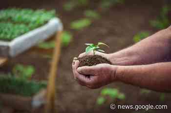 State Agriculture Department Seeking Program Administrators to ... - Department of Agriculture and Markets