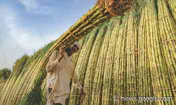 Agriculture: Food security through climate-smart agriculture ... - DAWN.com