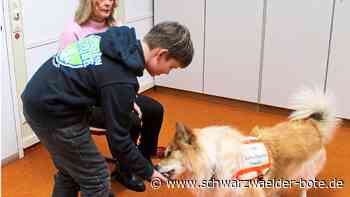 Falkensteinschule in Bad Herrenalb: Bessere Konzentration dank Hund Freddy