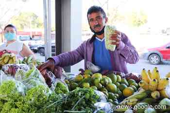 Circuito de feiras da agricultura familiar movimenta Parque de ... - No Cariri Tem