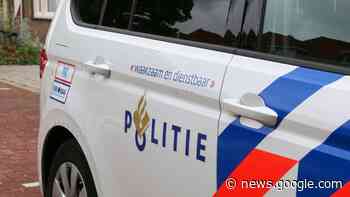 Agenten halen ontsnapt schaap van de Bernhardweg-West ... - HVZeeland.nl