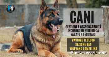Pastore tedesco: entra nel vivo l'attività della sezione Sas Vigevano ... - L'Informatore Vigevanese