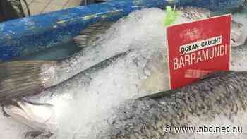 Major fishing ground off limits in Northern Territory as barramundi season begins