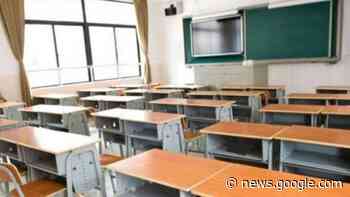 Rush finale per le iscrizioni scolastiche, l'analisi dei primi dati - Termoli Online