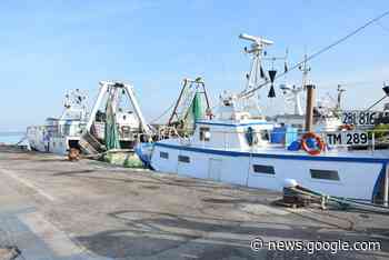 Il futuro della pesca, tavolo di confronto in Europa - Termoli Online