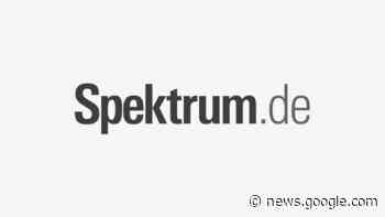 Editorial Wohltuende Zweifel - Spektrum.de