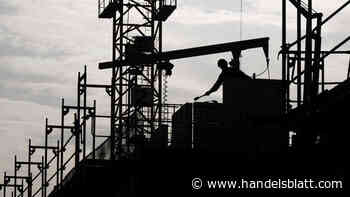 Immobilien: Fast bis zu 50 Prozent mehr – Materialpreise am Bau sind stark gestiegen