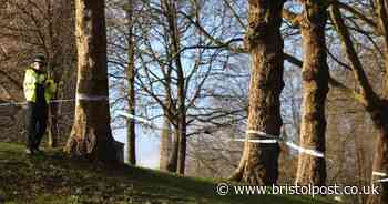 Castle Park in Bristol remains closed after man dies in stabbing