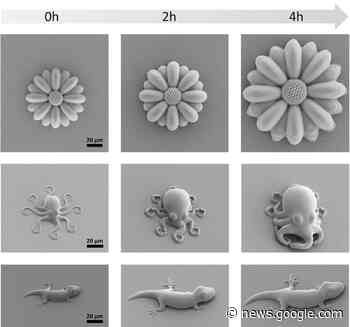 Mikroskopisch kleine Kraken aus dem 3D-Drucker - 3Druck.com
