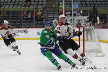 Abbotsford Canucks drop two games in the desert - Hope Standard - Hope Standard
