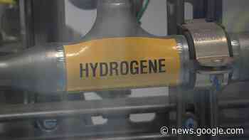 Moins de projets d'hydrogène vert, dit Fitzgibbon : des entreprises ... - Radio-Canada.ca