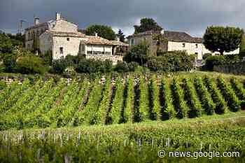 Ce qu'il faut savoir sur l'écorégime, paiement 'vert' auquel les ... - Vitisphere.com