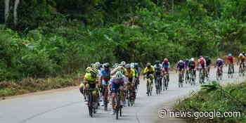 Tropicale Amissa Bongo : le Gabon mise sur son or vert - Le Point