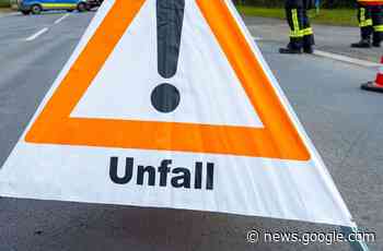 Landkreis Reutlingen: Pferd wird von Auto erfasst und stirbt - Stuttgarter Nachrichten