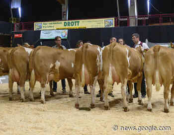 Die "Zukunft Rind" in Alsfeld steht vor der Tür - agrarheute.com