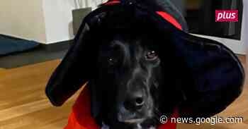 Ein schwarzer Zauberer aus Lauterbach - Lauterbacher Anzeiger