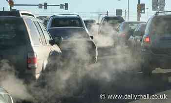 Sitting in traffic for just two HOURS can lead to brain damage, study suggests