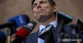 Brampton mayor proposes distributing free faraday bags to combat car thefts