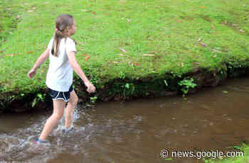 Trilha Infantil de Verão é próxima atração nos Caminhos Germânicos - Portal Gramado News