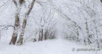 Your Saskatchewan photo of the day: February 2023