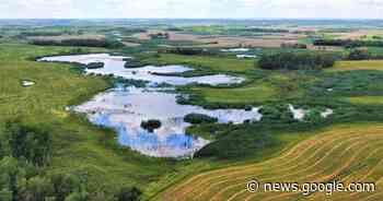 Incentives push producers to conserve wetlands – Brandon Sun - The Brandon Sun