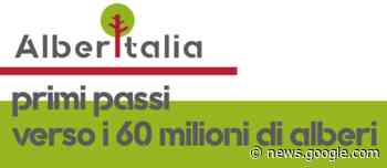 Giulianova, Il Comune firma una convenzione con la Fondazione ... - Abruzzo Cityrumors