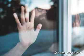 Ottawa spent $6M+ to house 15 people at a quarantine hotel in ... - PAX News