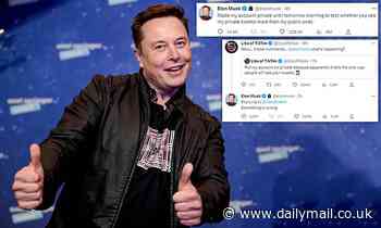 Bizarre Twitter trick appears to 'vastly improve' a tweet's reach - and even Elon Musk is trying it!