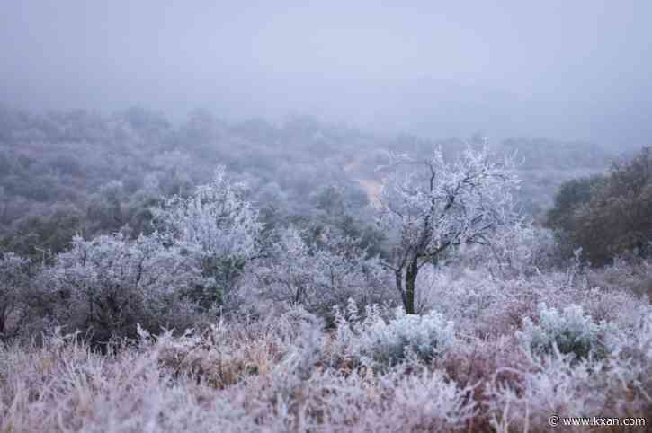 PHOTOS: Iced trees snap, transformers blow in Central Texas