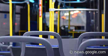 Einige Buslinien im Landkreis Lindau nur eingeschränkt bedient - WOCHENBLATT