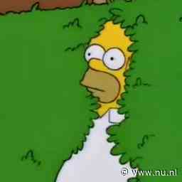 NU+ | GIPHY tien jaar oud: van gifjesprobeersel tot mislukte Facebook-overname