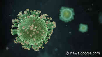 Controversial coronavirus research may have continued even after ... - U.S. Right to Know