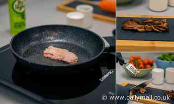 British scientists grow a pork steak in a LABORATORY that looks and smells just like real meat