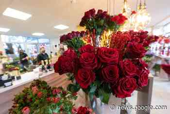 Valentinstag 2023 in Haltern: Von roten Rosen bis Candle-Light ... - Halterner Zeitung