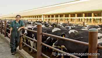 Income tax relief for drought or weather-related livestock sales