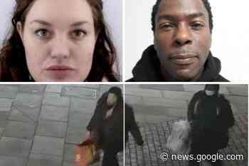 £10k reward to find missing aristocrat, partner and baby - Harrow Times