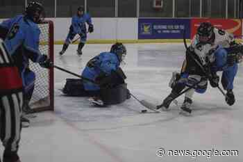 Fall River's Langille stands tall as Lady Pens earn MMFHL tie with ... - The Laker