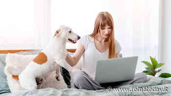 Arriva "Diritto privato degli animali": un nuovo corso di studio universitario