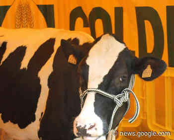 Prezzi, siglato accordo salva latte italiano. Coldiretti Cremona ... - Cremona Sera