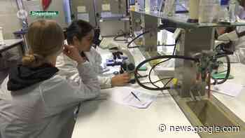 UCLL en KU Leuven bereiden leerlingen voor op ... - TV Limburg