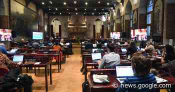 Irma De Wolf volgt Dorien Meulenijzer op in gemeenteraad - Het Laatste Nieuws