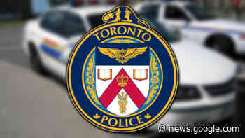WATCH: Toronto police announce results of investigation Project ... - CHCH News