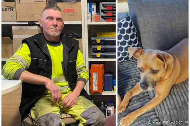 Vijf honden vergiftigd op twee weken tijd: ook viervoeter Zita (6) sterft na wandeling langs Dijle