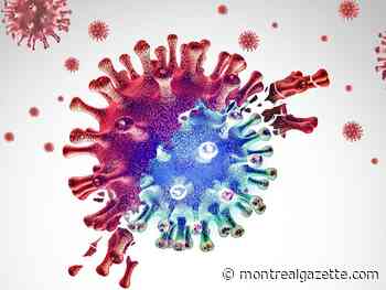 COVID-19 Kraken subvariant continues to spread in Quebec